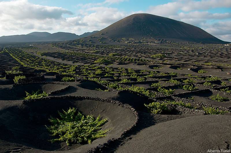 la geria lanzarote wine tour