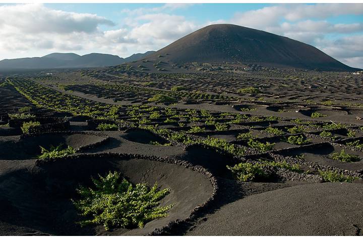 Excursión el golfo Lanzarote