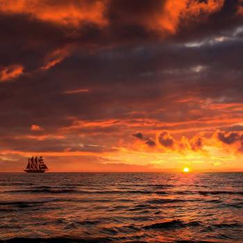 Sunset & Dolphins 