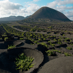 Excursion in Lanzarote