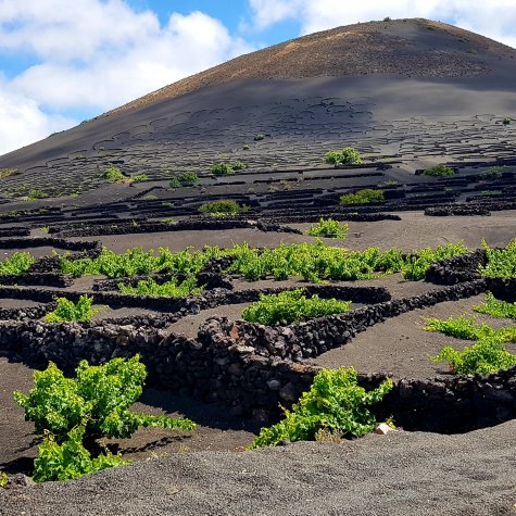 4x4 Tour: Flavors of Lanzarote