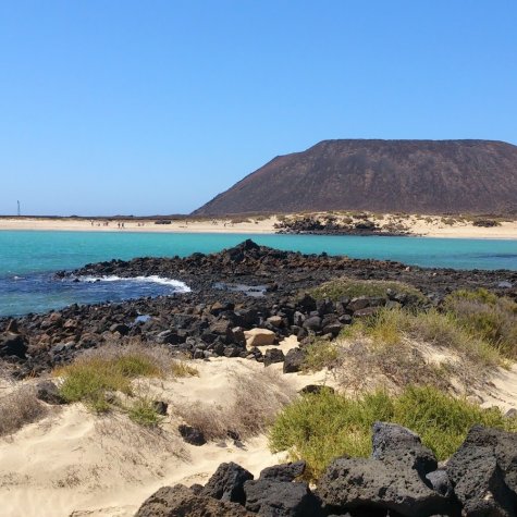 Lobos Island Tour 