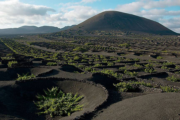 excursion Cesar Manrique Lanzarote