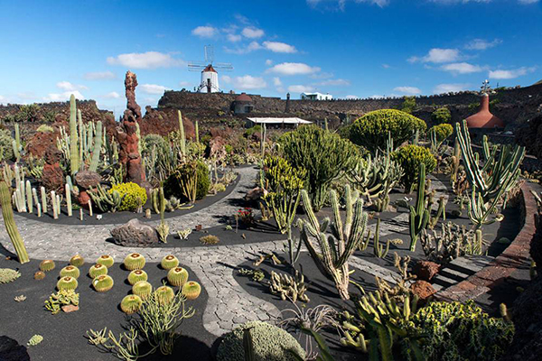 excursion Cesar Manrique Lanzarote